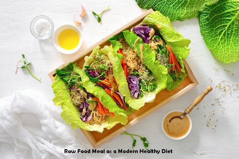 Raw Food Meal as a Modern Healthy Diet